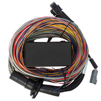 Haltech Elite 750 8ft Premium Universal Wire-In Harness