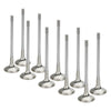 Supertech VW 1.8L/2.0L 16V 28.x6.96x98.20mm Flat Inconel Exhaust Valve - Set of 10