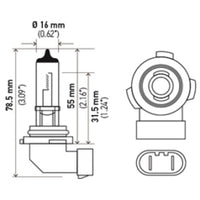 Hella H10 12V 65W Xen White Bulb (Pair)