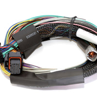 Haltech Elite 2500 8ft Basic Universal Wire-In Harness (Excl Relays or Fuses)