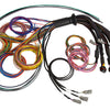 Haltech NEXUS R5 Universal Wire-In Harness - 2.5M (8ft)