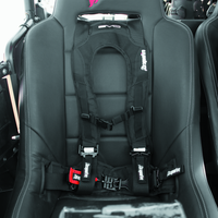 DragonFire Racing Harness Evo- Black