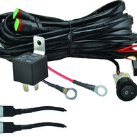 Hella ValueFit Wiring Harness for 2 Lamps 300W