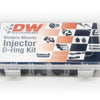 Deatschwerks Modern Muscle Injector O-Ring Kit (205 Pieces)