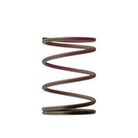 Turbosmart 2011 WG38/40/45 7PSI Outer Spring Brown/Pink