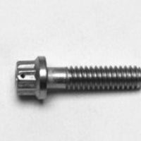 Wilwood 1/4-20 x 1.00 LG - 12 PTCS - LWD Stainless Replacement Bolt