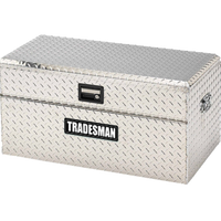 Tradesman Aluminum Flush Mount Truck Tool Box Full/Slim Line (60in.) - Brite