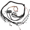 Haltech Toyota 2JZ Elite 2000/2500 Terminated Engine Harness