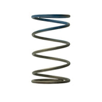 Turbosmart WG40 10PSI Outer Spring Brown/Blue