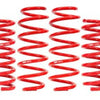 BMR Suspension 08-23 Dodge Challenger / 06-23 Dodge Charger Demon Killer Drag Springs - Set of 4