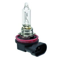 Hella Bulb H9 12V 65W PGJ19-5 T4