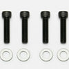 Wilwood Bolt Kit - 1/4-28 x1.00- 8 pack.