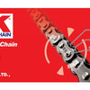 RK Chain RK-M 520-98L - Natural