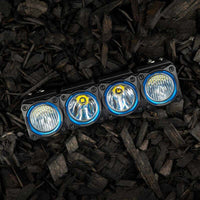 KC HiLiTES FLEX ERA LED Light Bar Bezel Kit for 10in. Segments - Blue